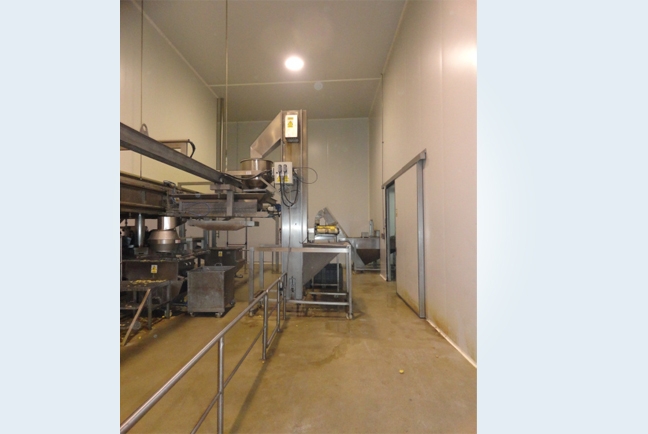 Auxiliary machines for processing potatoes 4