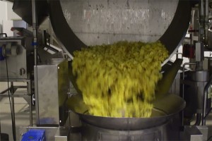 industria alimentaria